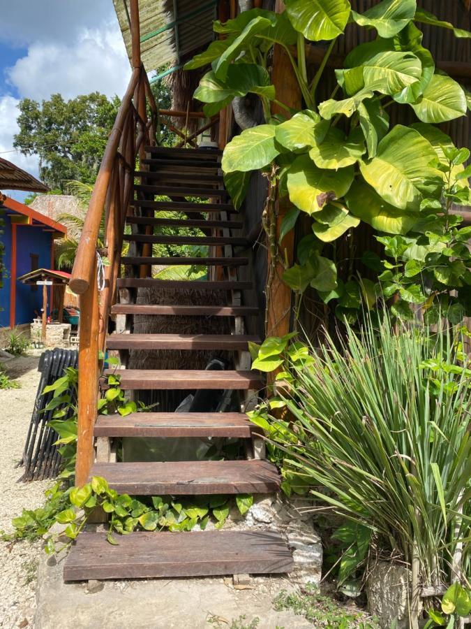 Appartamento Malinche Cafe In Coba Tulum Esterno foto