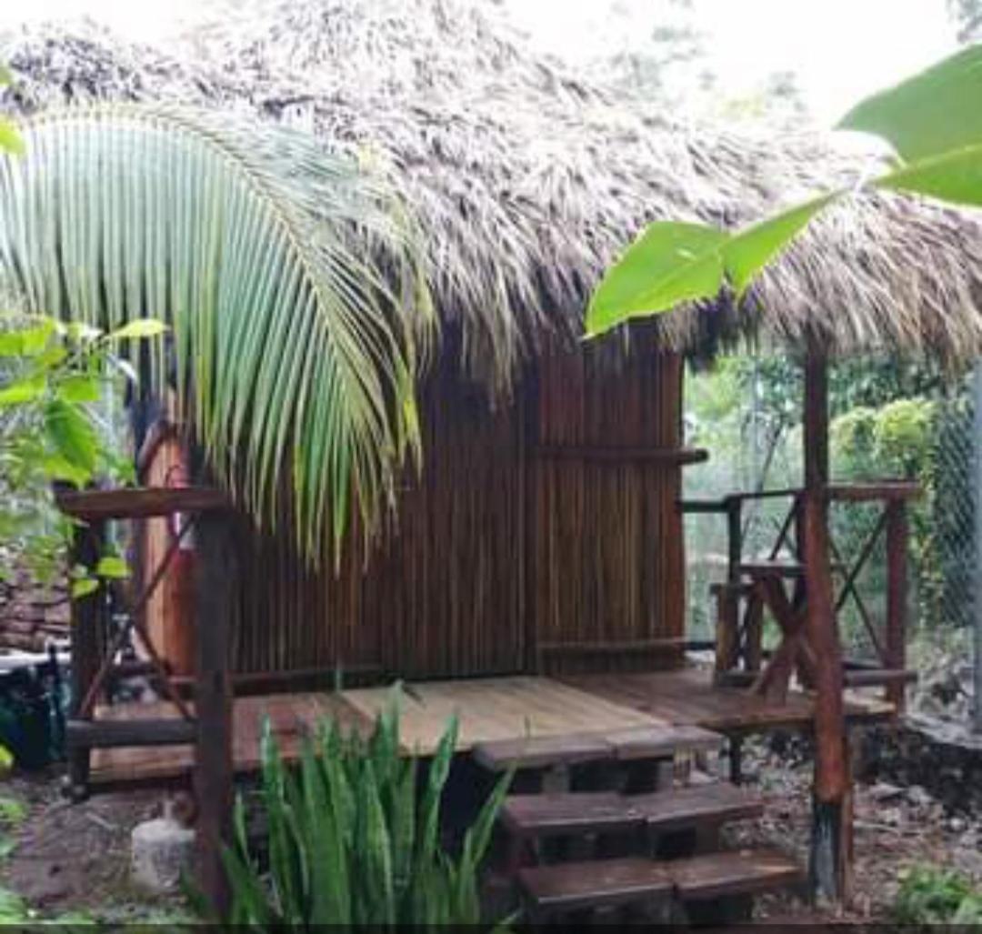 Appartamento Malinche Cafe In Coba Tulum Camera foto